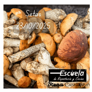 Setas 23/10/2025